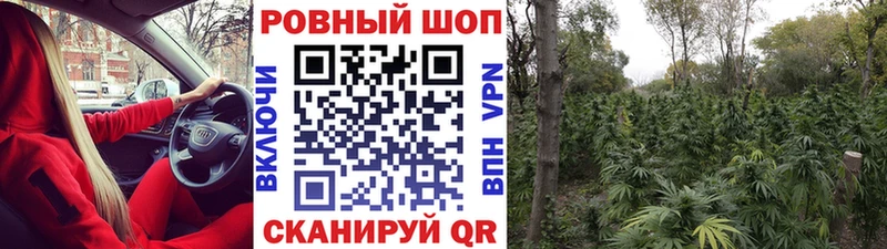 Купить закладку АМФ  Марихуана  COCAIN  Метамфетамин  ГАШИШ  Меф  Луга
