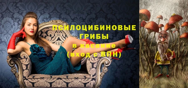 гидропоника Карпинск
