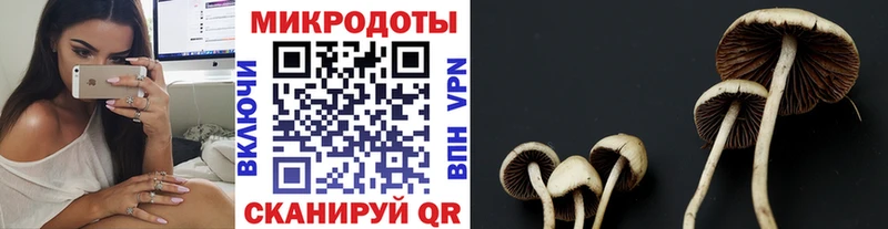 Галлюциногенные грибы MAGIC MUSHROOMS  Купить закладки  Луга 